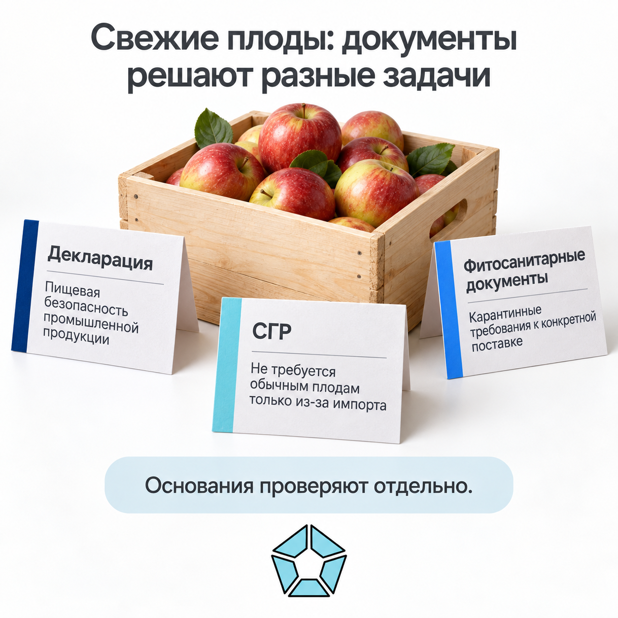 Декларация, фитосанитарные документы и СГР имеют разные основания; импорт обычных плодов сам по себе не создаёт обязанности оформить СГР.